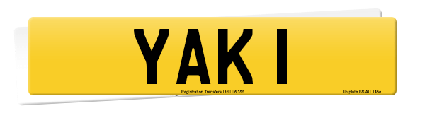Registration number YAK 1